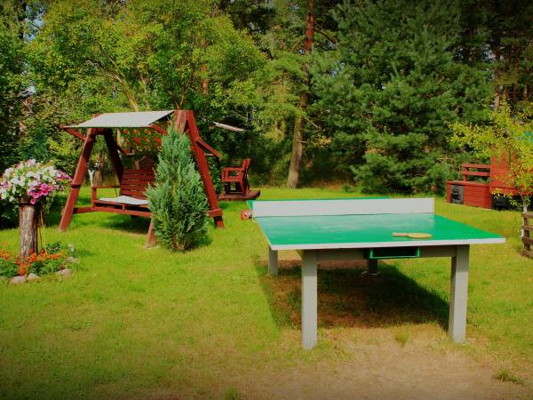 stół do ping-ponga