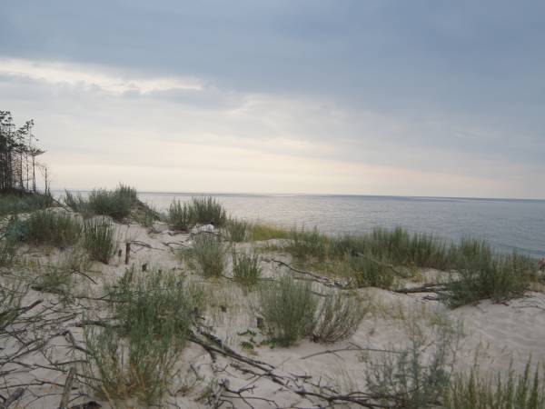 Tuż przy plaży znajdują się wydmy