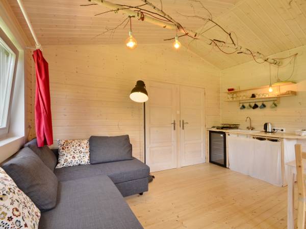 Pokój dzienny z aneksem