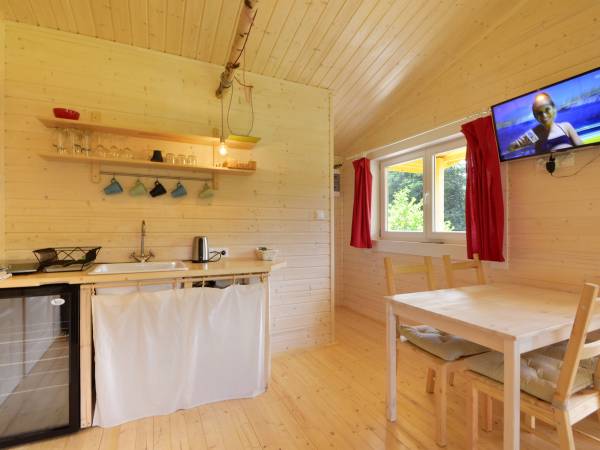 Pokój dzienny z aneksem