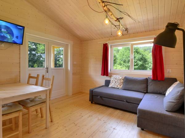 Pokój dzienny z aneksem