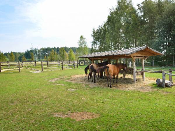 Agroturystyka Pod Lipą