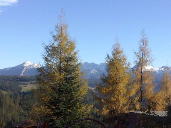 Pokoje Gościnne U Heleny