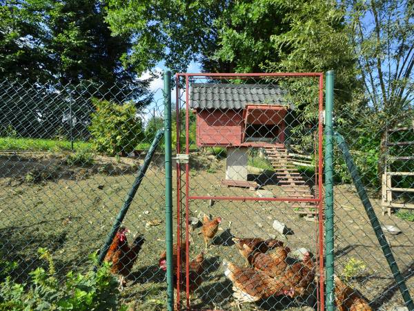 Agroturystyka Oleńka