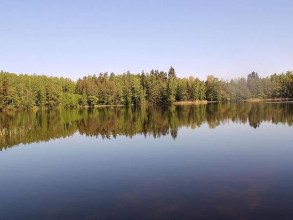 Domki Mazurski Zakątek