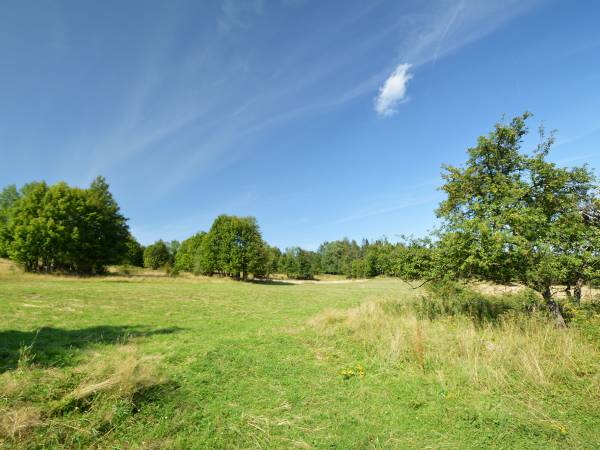 Kwatery Prywatne U Adama