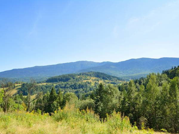 Kwatery Prywatne U Adama