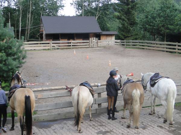 Agroturystyka-Zagroda Studzienno