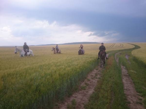 Agroturystyka-Zagroda Studzienno