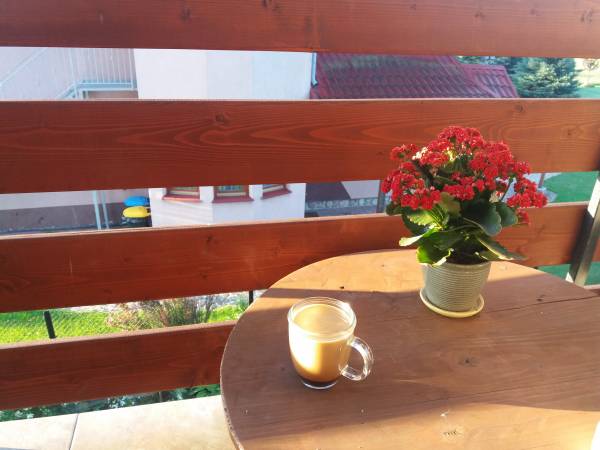 Studio Aga - okolica