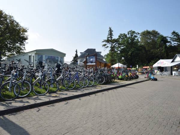 Domki angielskie Alex