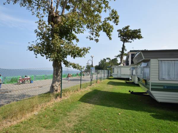 Domki angielskie Alex