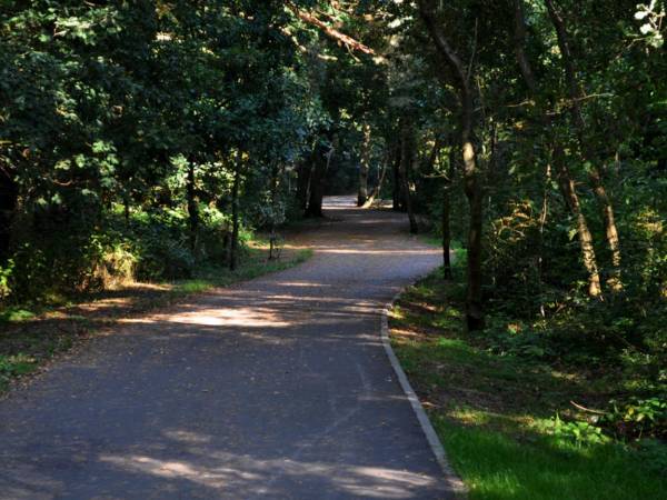 Kompleks Wypoczynkowy Janko