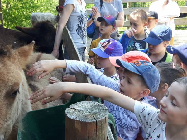 Zajęcia edukacyjne z udziałem zwierząt