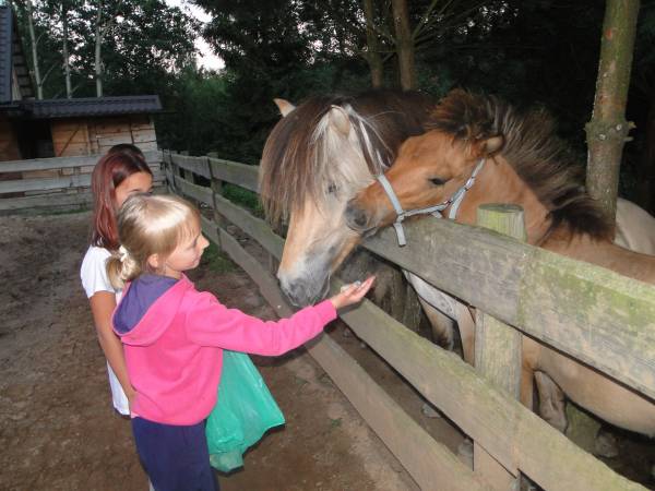 Agroturystyka-Zagroda Studzienno