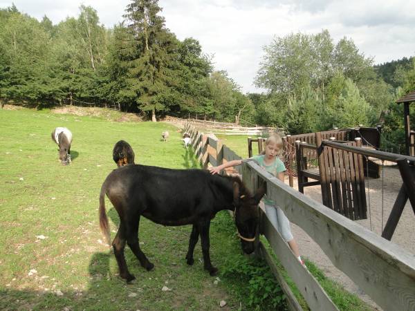 Agroturystyka-Zagroda Studzienno