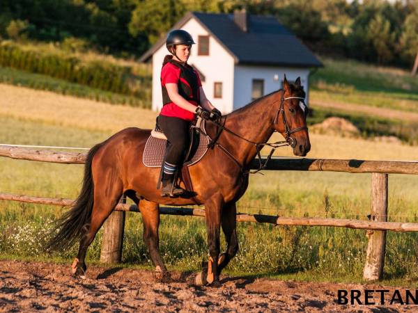 Agroturystyka Dobrut Małgorzata