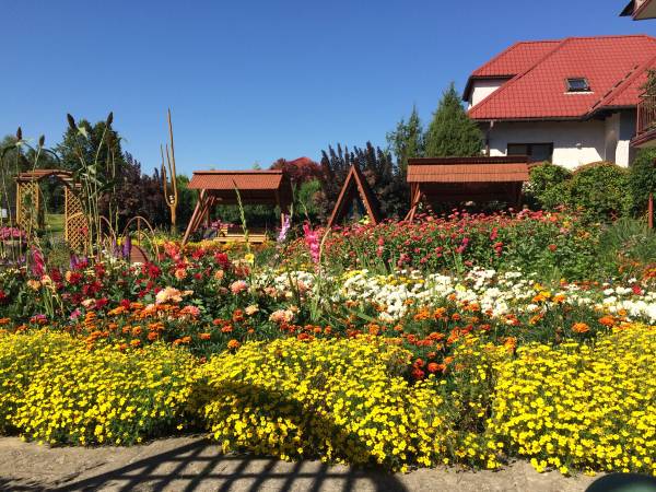 Pokoje Gościnne Zofia I Adam 