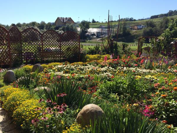 Pokoje Gościnne Zofia I Adam 