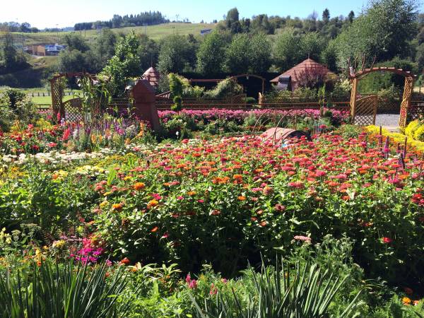 Pokoje Gościnne Zofia I Adam 