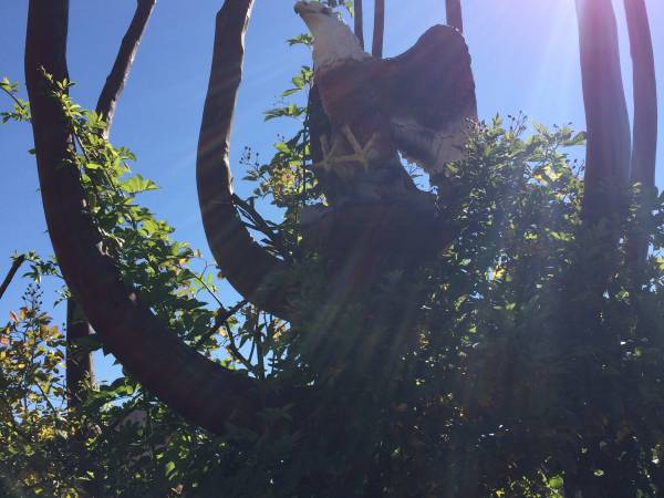 Pokoje Gościnne Zofia I Adam 