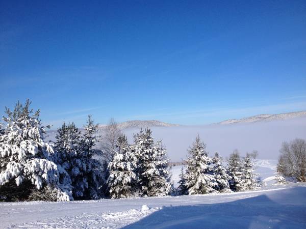 Pokoje Gościnne Zofia I Adam 