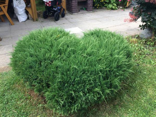 Pokoje Gościnne Zofia I Adam 