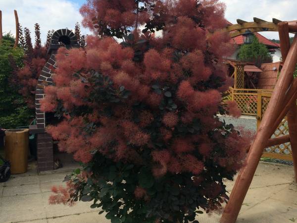 Pokoje Gościnne Zofia I Adam 