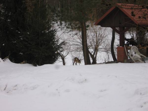 AgroPensjonat STRĘGIELEK