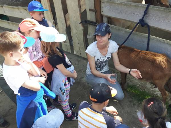 Agroturystyka-Zagroda Studzienno