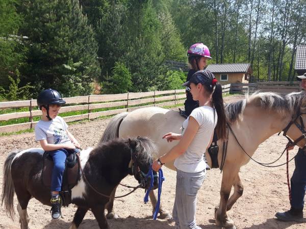 Agroturystyka-Zagroda Studzienno