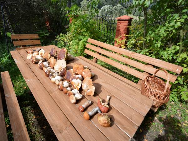 Dybasiówka Ekologiczne Gospodarstwo Agroturystyczne