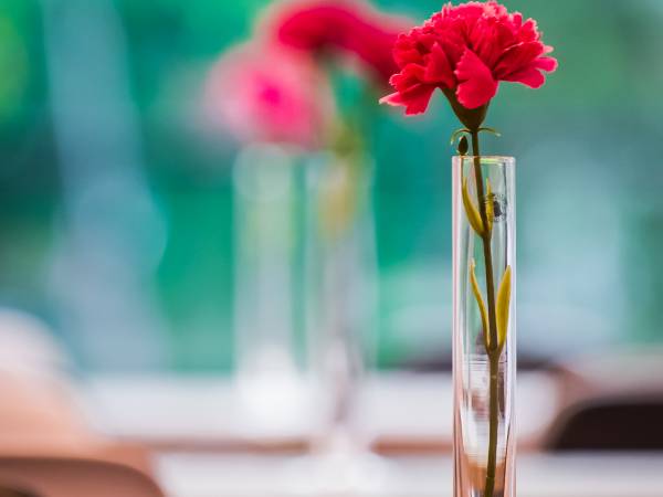 Apartamenty Eskapada 