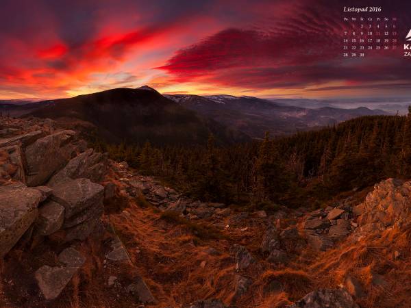 Apartamenty i pokoje Gazda