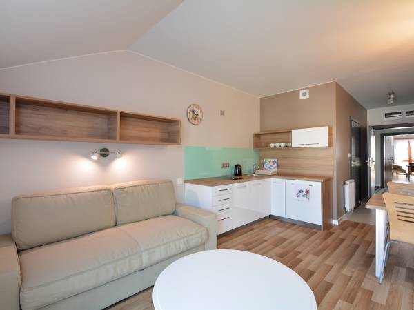 Salon w apartamencie typu A