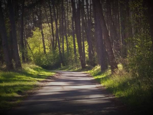 Ośrodek Sanatoryjno-Wypoczynkowy SUSMED
