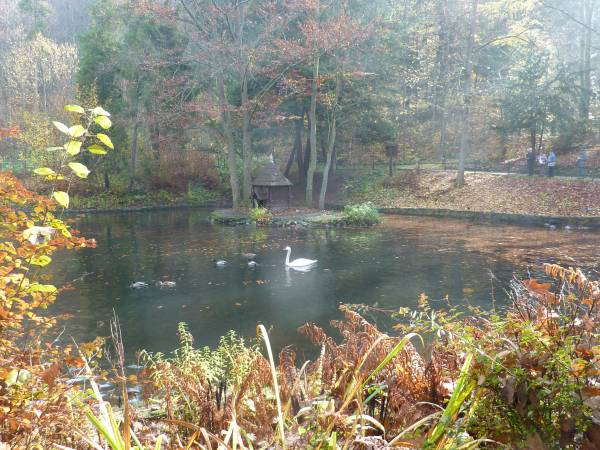 Pokoje u Piotra i Jolanty - okolica