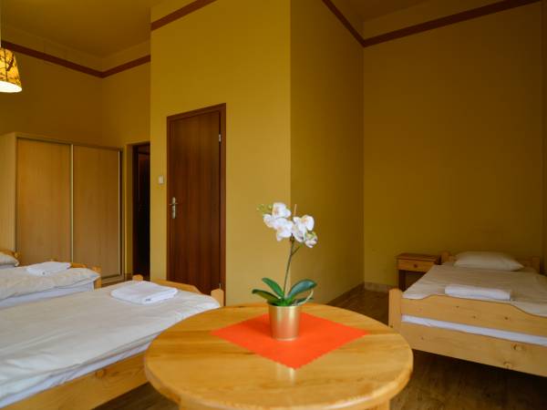 Dom Turysty PTTK - pokoje ozonowane 