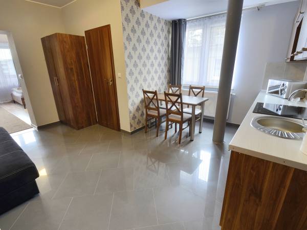 apartament nr 16-aneks kuchenny