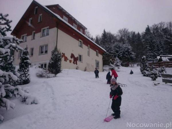 Przydomowa górka do zjazdów