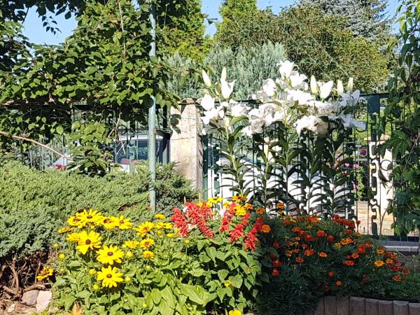 Pokoje Gościnne Wanda