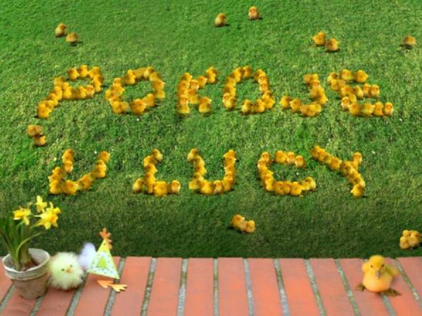 Pokoje u Lucy - Lucyny