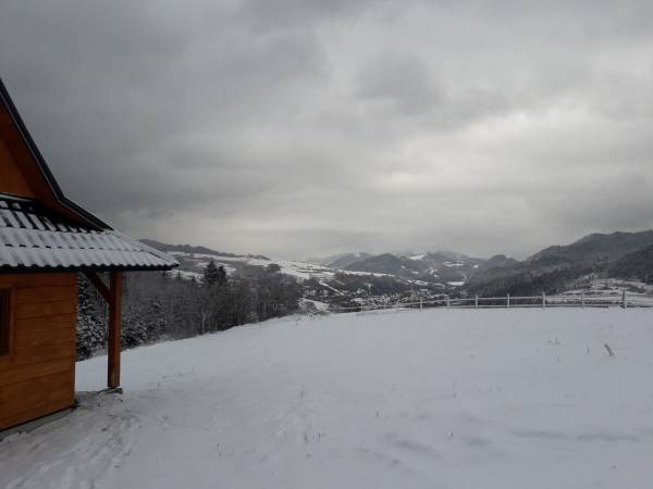 Chatki Niwki u Zbója