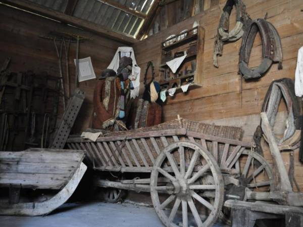 Agroturystyka Bora Zdrój