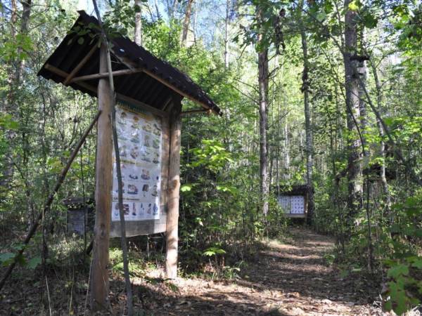 Agroturystyka Bora Zdrój