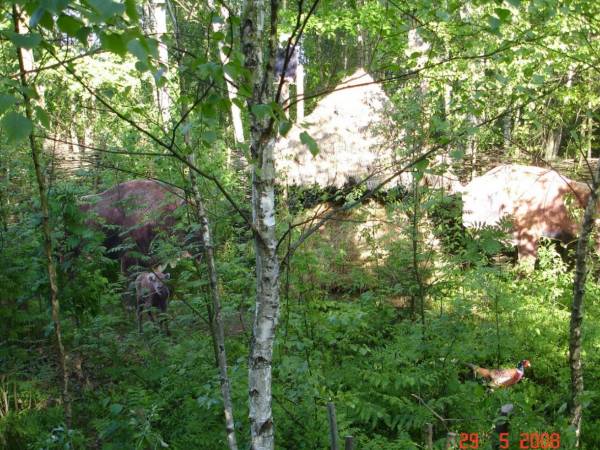 Agroturystyka Bora Zdrój