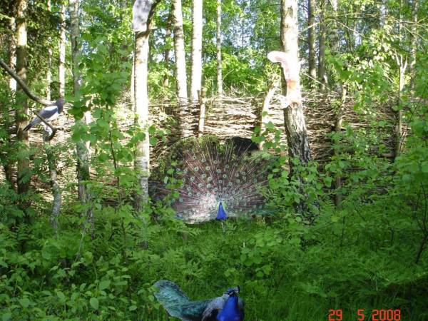 Agroturystyka Bora Zdrój