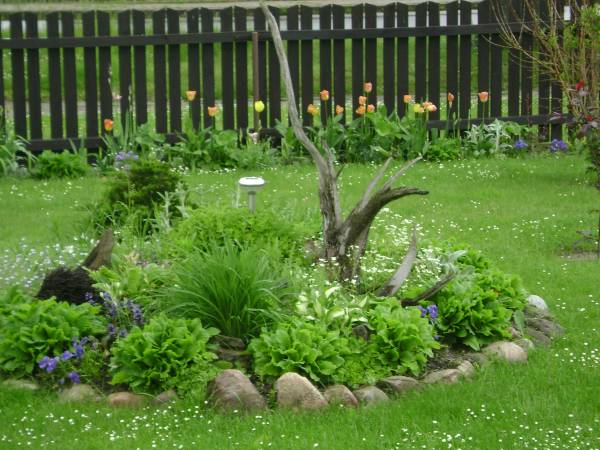 Nocleg u Kołodzieja