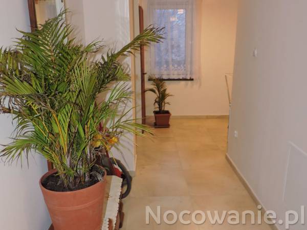 Nocleg Mączyńskiego