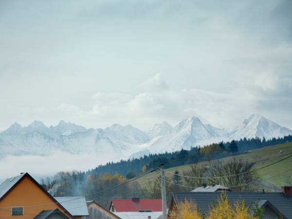 Domek pod lasem u Dariny 